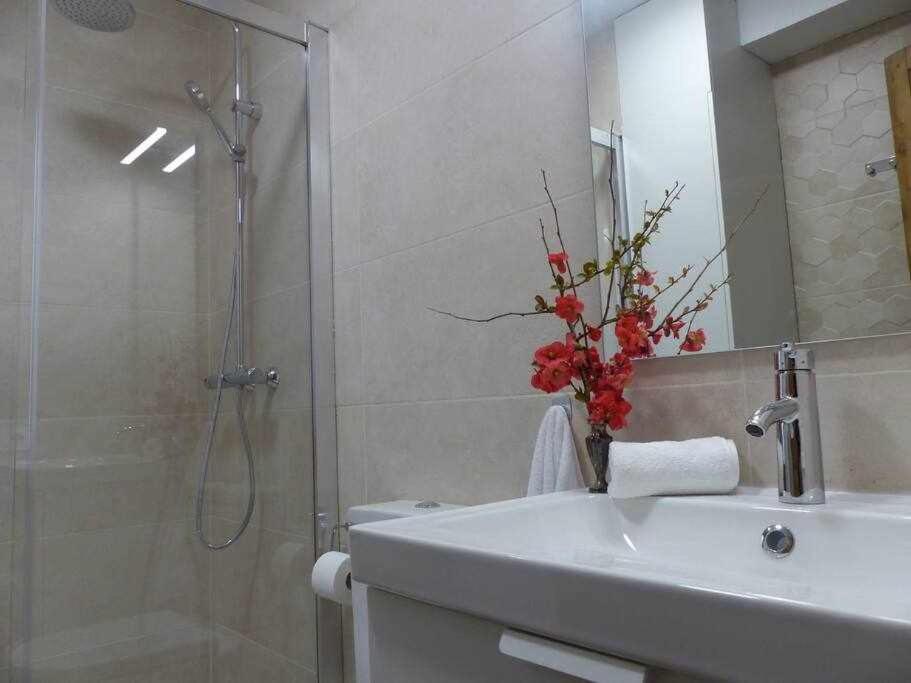 Apartamento Abside De San Juan II Estella Exteriör bild